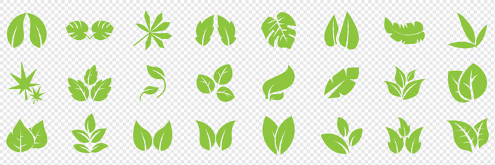 Green leaf icons set. Leaves icon on isolated background. Collection green leaf. Elements design for natural, eco, vegan, bio labels. Vector illustration EPS 10