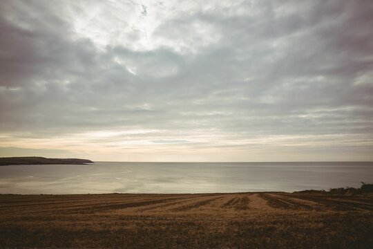Fototapeta Harvested field furrows are stretching toward headland above sea under grey clouds in flat design