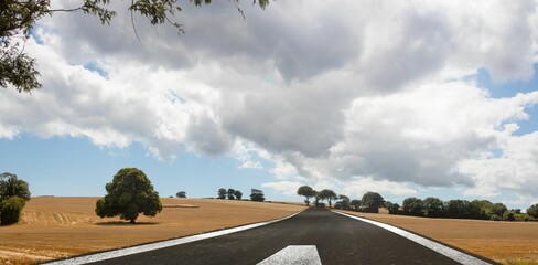 Two-lane paved road is running through harvested fields with trees and arrow marking in flat design