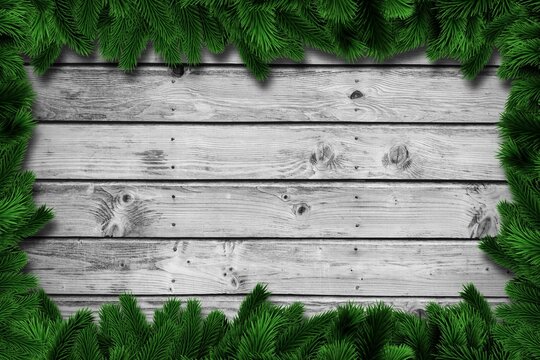 Fototapeta Fir tree branches over planks