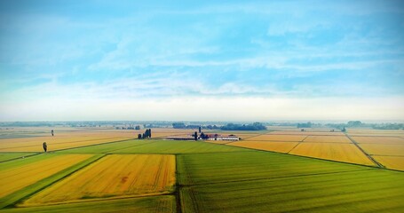 Sky view of yellow and green grass field