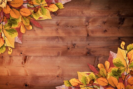 Fototapeta Wooden plank surface is being shown in flat design with autumn leaf clusters and visible seams