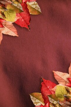 Fototapeta Decorative clusters of autumn leaves are framing flat design burgundy-red background, copy space