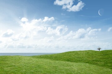 Solitary bare tree is standing on hillcrest in flat design, with rolling hills, sea, sunlit clouds