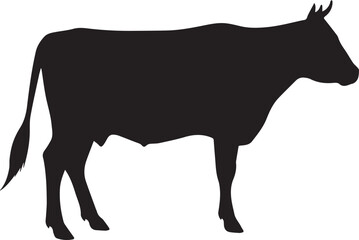 Cow silhouette 