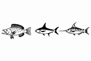 vector illustration of a fish