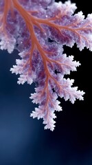 Fototapeta premium Close up of a fractal leaf with purple and red veins intricate details and a dark background