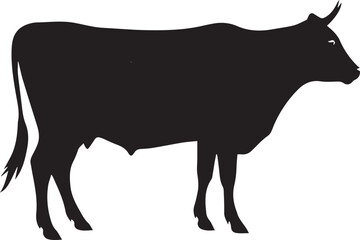 Cow silhouette 