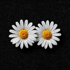 Obraz premium Two Elegant Daisies on Deep Black Fabric: A Study in Contrast and Floral Beauty, minimal composition.