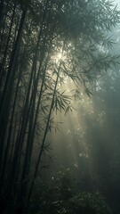 Naklejka premium Dark mysterious forest with subtle blue light and tall trees