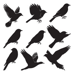 set of silhouettes of birds