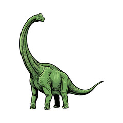 brontosaurus dinosaur vector illustration on white background © Wiwit