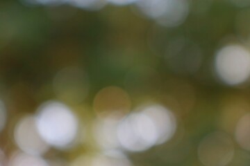 Abstract Bokeh Background with Gentle Hues and Defocused Light Circles