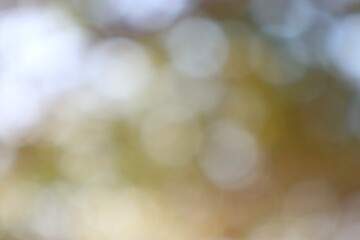 Abstract luminous bokeh background with soft hues and gentle blur