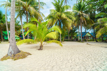 Khlong Hin beach in Koh Kood island, Thailand	
