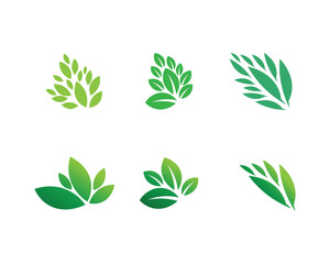 Tree leaf vector logo design, eco-friendly concept.