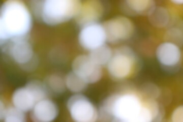 Ethereal Autumnal Hues Abstract Backdrop with Bokeh Highlights