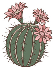 vector of a round cactus with blooming pink flowers and spines, detailed surface texture, isolated on white background
