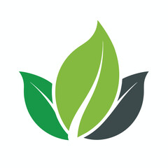 Eco green leaf icon vector on white background.