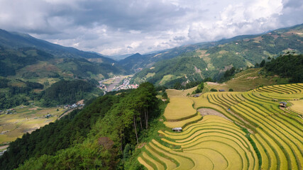 Golden rice terraces in Mu Cang Chai, Vietnam, curve across hillsides under a dramatic sky, showcasing a breathtaking agricultural landscape.