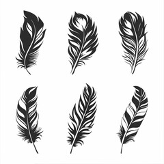 Obraz premium Colorful Feather Vector Set for Art and Decoration