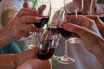 Closeup of people having toast with red wine