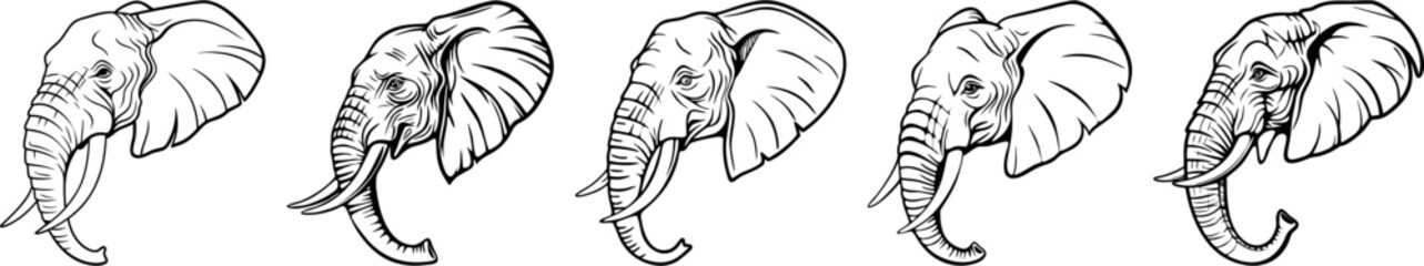 set of elephant head vector
