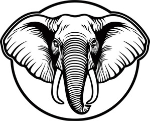 elephant vector illustration