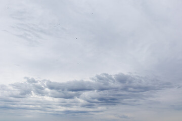Overcast Sky with Dark Clouds and Flying Birds