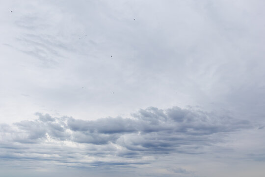 Overcast Sky with Dark Clouds and Flying Birds