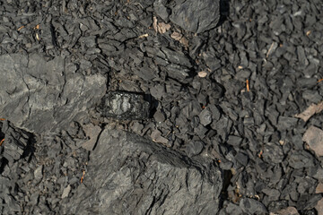 A piece of coal lying outdoors on a stone. 
