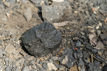 A piece of coal lying outdoors on a stone. 
