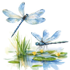 Dragonflies Hovering Summer Pond, watercolor painting vector, isolated on a white background.