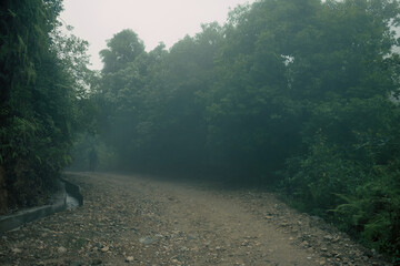 Sundarijal-Dhapdam-Chisapani (Hiking Trail)