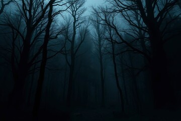 A dark forest scene with leafless trees in fog under a bluegray sky