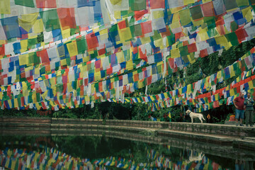 Sundarijal-Dhapdam-Chisapani (Hiking Trail)