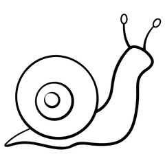 illustration of snail