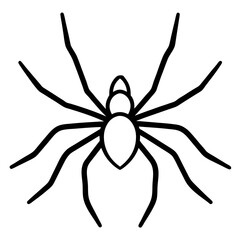 spider on a white background
