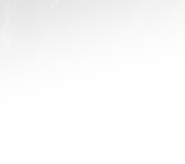 Abstract white gradient wave lines flowing smooth curve colorful gradient on transparent background in concept of technology, science, banner, cover, modern gradient background