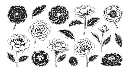 Collection of detailed black and white camellia flowers and leaves in a vintage engraving silhouette style