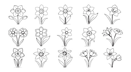 Collection of hand drawn daffodil flower illustrations in a distinctive silhouette style