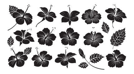 Collection of dark blue hibiscus flowers and leaves in a simple silhouette style © rohan