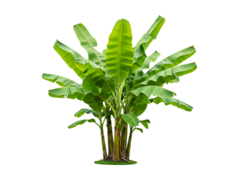 Robotic hand holding a glowing vintage edison light bulb isolated on transparent background