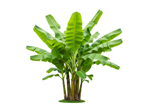 Robotic hand holding a glowing vintage edison light bulb isolated on transparent background - Powered by Adobe