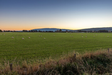 Taieri Plains near Mosgiel, Otago, New Zealand