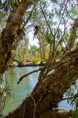 Drysdale River landscape in Kimberley Region Western Australia.