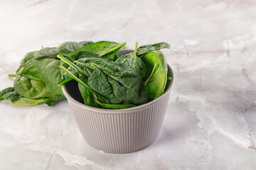 Raw green baby spinach plant