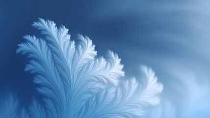 Obraz premium Frozen fractals: Abstract ice crystal formation on blue background, cool winter concept