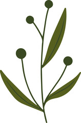 olive branch with leaves