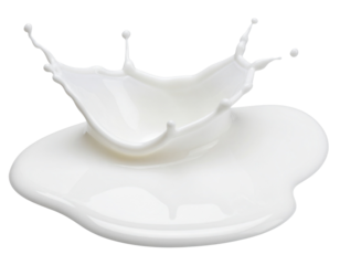 Realistic Spilled Milk Puddle with Irregular Edges, Transparent PNG